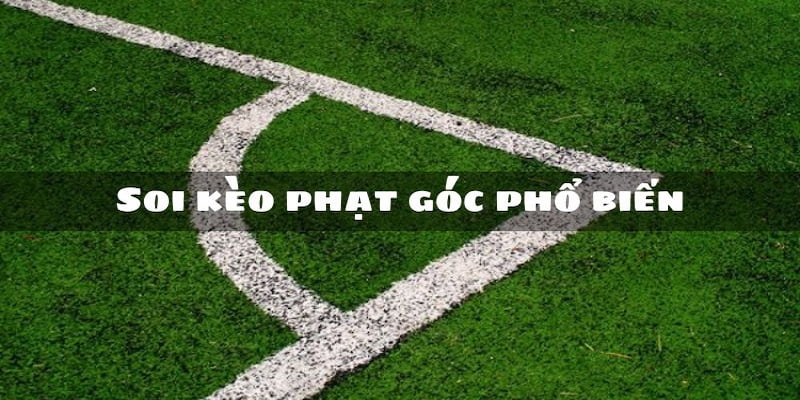 Người chơi sẽ có nhiều lựa chọn cược góc khác nhau